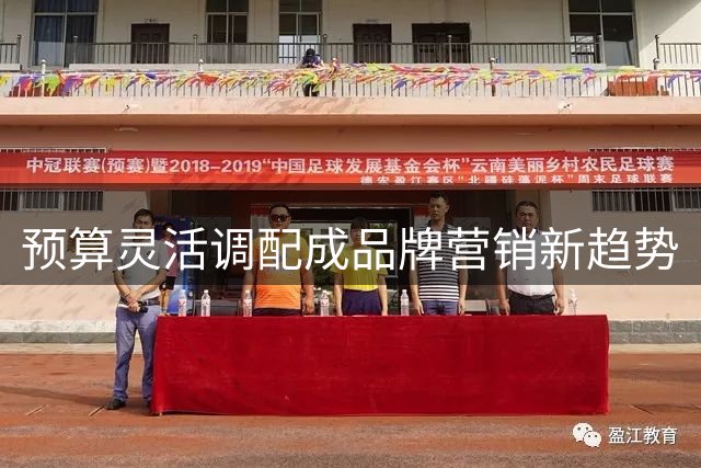 预算灵活调配成品牌营销新趋势